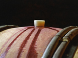 Red Wine in Oak Barrel at Lucien Muzard, Santenay, Bourgogne, France