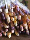 Pile of White Asparagus, Clos Des Iles, Le Brusc, Cote d'Azur, Var, France