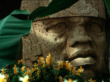 Olmec, Colossal Head, San Lorenzo, Xalapa Museum, Veracruz, Mexico