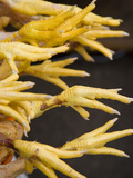 Buy Chicken Legs Displayed in Market, Cuzco, Peru at AllPosters.com