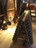Oak Aging Vats and Pupitres for Fermenting Sparkling Wine, Bodega Pisano Winery, Progreso, Uruguay