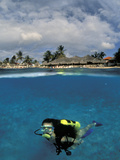 Woman Scuba Diving, Bonaire, Caribbean Photographic Print