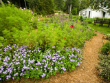 Flower Garden, Oakland House Seaside Resort, Brooksville