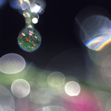 Abstract of Dew Drops on Flowers
