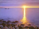 Sunrise on Fog and Shore Rocks on the Atlantic Ocean, Acadia National Park, Maine, USA