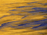 Sunshine Colors Waves off Torrey Pines Cliffs, La Jolla, California, USA