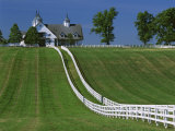 Double White Fence Flows from an Elegant Horse Barn, Woodford County, Kentucky, USA