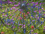 Wheel Gate and Fence with Blue Bonnets, Indian Paint Brush and Phlox, Near Devine, Texas, USA