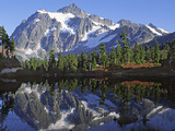 Mt. Shuksan in the Fall with Red Blueberry Bushes, North Cascades National Park, Washington, USA