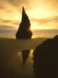 Buy Sunset Silhouettes Seabird Atop Rock Pinnacle, Bandon Beach, Oregon, USA at AllPosters.com