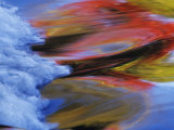 Fall Color Reflections in Wolf River, Nicollet National Forest, Wisconsin, USA