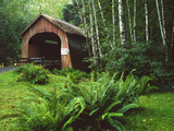 Yachats River Covered Bridge in Siuslaw National Forest, North Fork, Oregon, USA