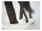Vanilla Spices