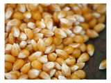 Kernels
