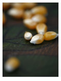 Kernels Close up I