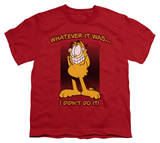 Youth: Garfield - I Didn't Do It!
