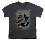 Youth: Batman - Swing Into Action