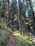 Lewis and Clark Trail over Lolo Pass, Bitterroot Mountains, Montana