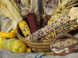 Buy Squash, Corn, and Beans: the Three Sisters of Native American Agriculture at AllPosters.com
