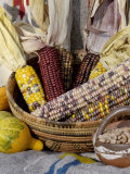 Squash, Corn, and Beans: the Three Sisters of Native American Agriculture