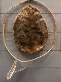 Buy Beaver Pelt Stretched on a Sapling Frame and Laced with Rawhide at AllPosters.com