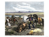 Vaquero Branding Longhorn Cattle, c.1800