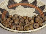 Buy Acorns in a Native American Basket at AllPosters.com