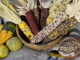 Squash, Corn, and Beans: the Three Sisters of Native American Agriculture