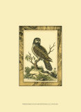 Majestic Perch III