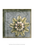 Buy Rosette and Damask II at AllPosters.com