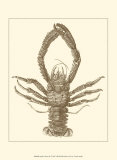 Buy Sepia Lobster II at AllPosters.com