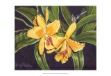 Buy Vibrant Orchid I at AllPosters.com