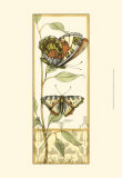Tandem Butterflies III