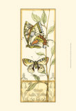Tandem Butterflies IV