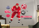 Henrik Zetterberg- Fathead