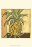 Buy Golden Pineapple II at AllPosters.com