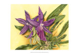 Buy Vibrant Orchid IV at AllPosters.com