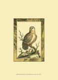 Majestic Perch I