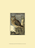 Night Guardian I