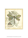 Regal Dragonfly II