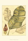 Buy Reminiscence I at AllPosters.com