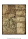 Buy Custom Impressed on Patina I at AllPosters.com