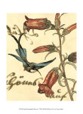Hummingbird Reverie I