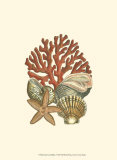 Coral Medley I