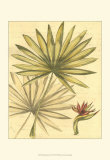 Buy Reminiscence IV at AllPosters.com