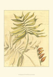 Buy Reminiscence II at AllPosters.com