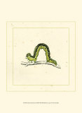 Buy Green Inchworm at AllPosters.com