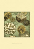 Buy Floral Dream II at AllPosters.com
