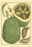 Exotic Melons II
