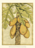 Buy Graphic Palms I at AllPosters.com
